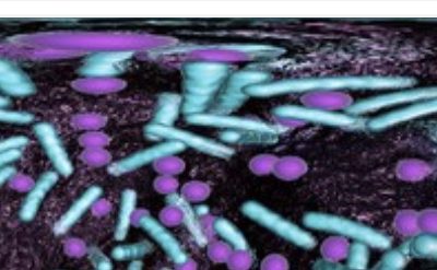 Biofilm In Your Mouth