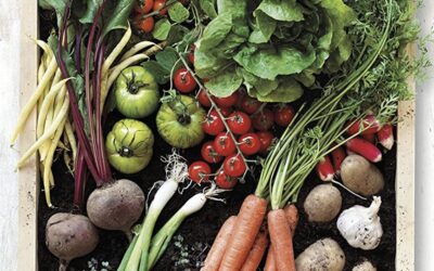 Nutrition and Diet to Optimize Health