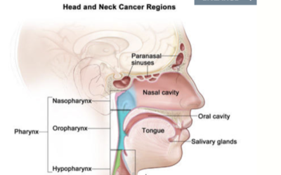 Head, Neck and Oral Cancer