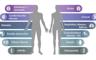 What Is The Mouth-Body Connection?