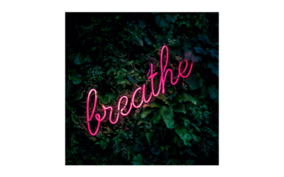 The Importance of an Airway Centric Health Assessment