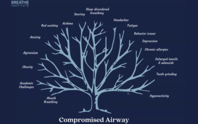 The Way We Breathe Affects Everything