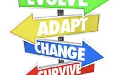 6 Things We Need To Survive and Thrive