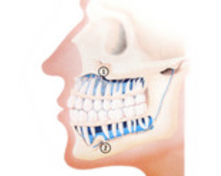Saliva and Digestive Enzymes