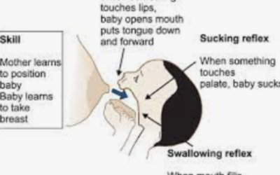 Suck Swallow Breathe May 15th