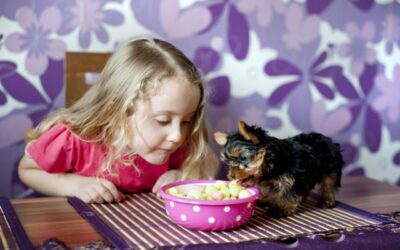 Understanding Picky Eating Beyond Taste Preferences…Sensory Sensitivities